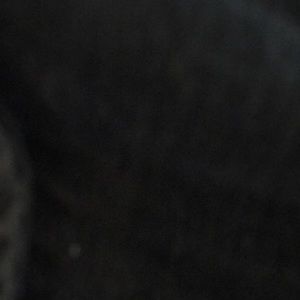 Meet your Posher, Yves